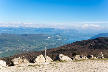 Similar image 22454125