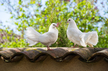 Similar image 22454129