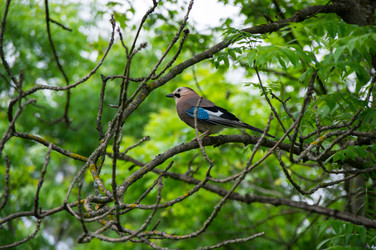 Similar image 22454141