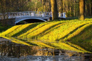 Similar image 22454145