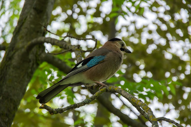 Similar image 22454147