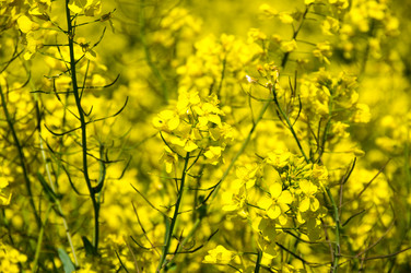 Similar image 22454158