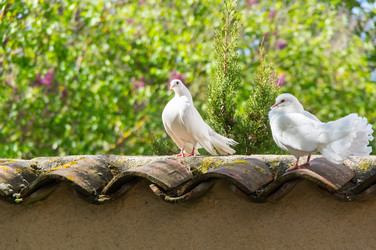 Similar image 22454160