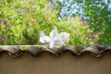 Similar image 22454163