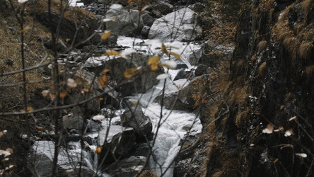 Similar image 22463138