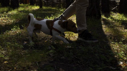 Similar image 22463304