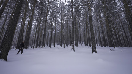 Similar image 22461441