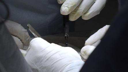 Similar image 22461455