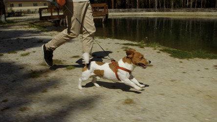 Similar image 22461483