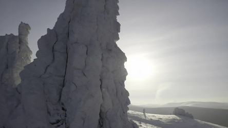 Similar image 22461741