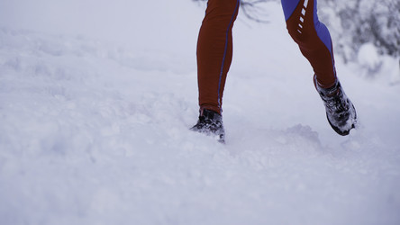 Similar image 22461759