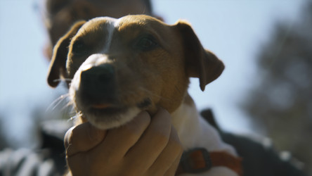 Similar image 22462121