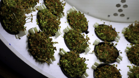 Similar image 22462149