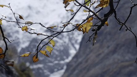 Similar image 22462480