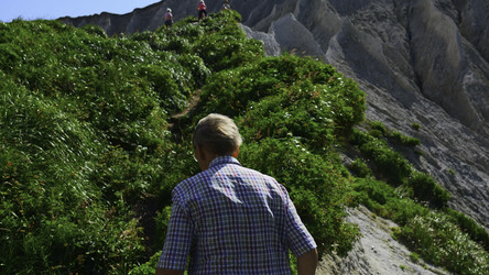 Similar image 22462630