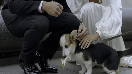 Similar image 22462658