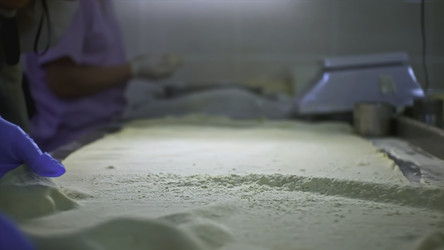 Similar image 22462780