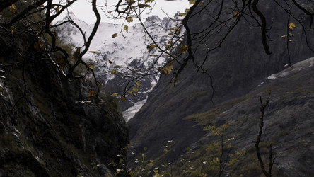 Similar image 22462809