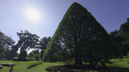 Similar image 22462991