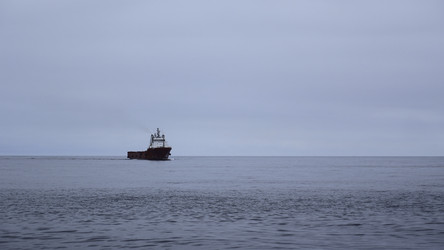 Similar image 22463050