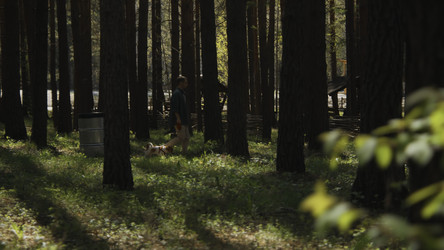 Similar image 22463139