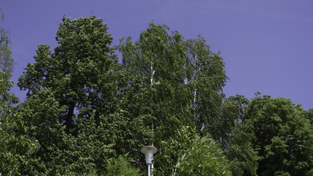 Similar image 22463468