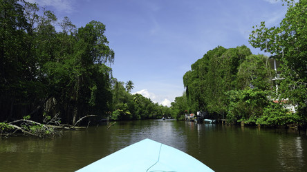 Similar image 22463482