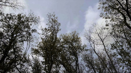 Similar image 22463545