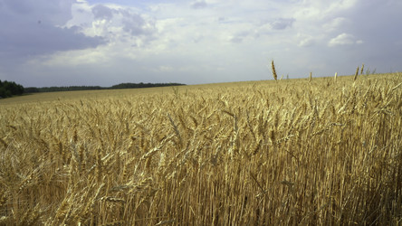 Similar image 22463694