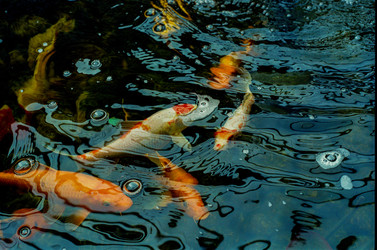 Similar image 22452813