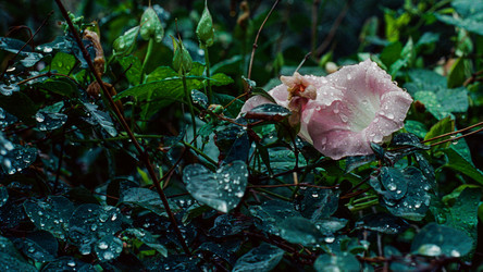 Similar image 22452816