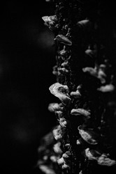 Similar image 22452819