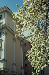 Similar image 22452833