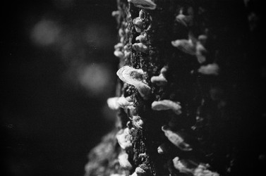 Similar image 22452834