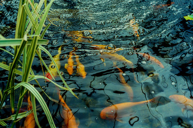 Similar image 22452836