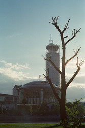 Similar image 22452681