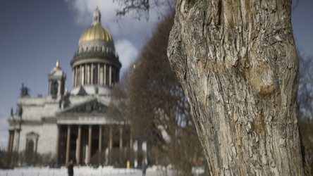 Similar image 22461713