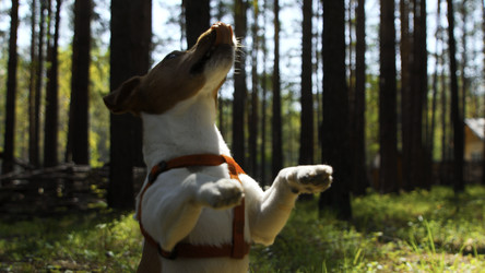 Similar image 22461802