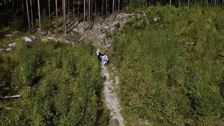 Similar image 22461985