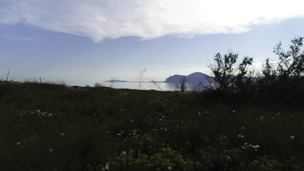 Similar image 22462108