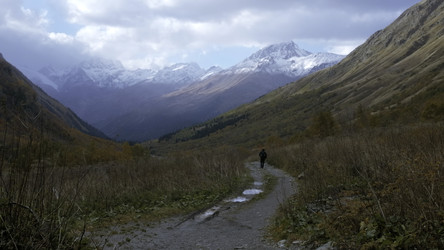 Similar image 22462254