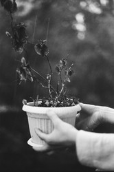 Similar image 22452710