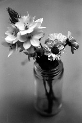 Similar image 22452711