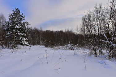 Similar image 22455161