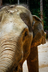 Similar image 22452713