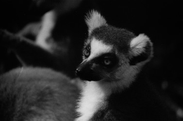 Similar image 22452716