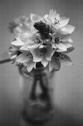 Similar image 22452718