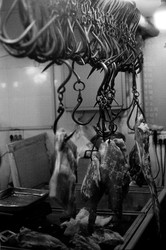 Similar image 22452719