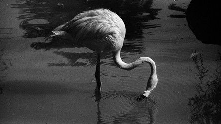 Similar image 22452809