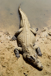 Similar image 22452810